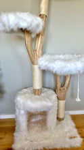 Laden Sie das Bild in den Galerie-Viewer, Naturkratzbaum Carlo, Snowball & Mylo