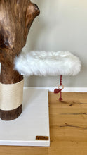Laden Sie das Bild in den Galerie-Viewer, Naturkratzbaum Oskar, Fibi, Findus & Enzo