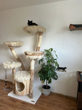 Laden Sie das Bild in den Galerie-Viewer, Naturkratzbaum Katzen vom Wästertal