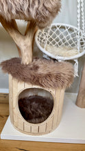 Laden Sie das Bild in den Galerie-Viewer, Naturkratzbaum Leo & Sarabi