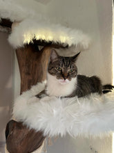 Laden Sie das Bild in den Galerie-Viewer, Naturkratzbaum Oskar, Fibi, Findus & Enzo