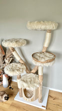 Laden Sie das Bild in den Galerie-Viewer, Naturkratzbaum Katzen vom Wästertal
