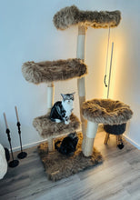 Laden Sie das Bild in den Galerie-Viewer, Naturkratzbaum Cullinan & Sunny