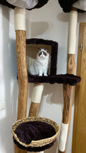 Laden Sie das Bild in den Galerie-Viewer, Naturkratzbaum Welina, Kimba, Kitty & Levi
