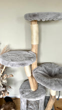 Laden Sie das Bild in den Galerie-Viewer, Naturkratzbaum Liah, Minos & Lady