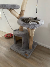 Laden Sie das Bild in den Galerie-Viewer, Naturkratzbaum Lilly