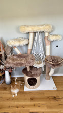 Laden Sie das Bild in den Galerie-Viewer, Naturkratzbaum Leo & Sarabi