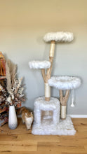 Laden Sie das Bild in den Galerie-Viewer, Naturkratzbaum Carlo, Snowball & Mylo