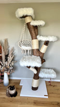 Laden Sie das Bild in den Galerie-Viewer, Naturkratzbaum Oskar, Fibi, Findus & Enzo