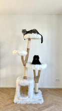 Laden Sie das Bild in den Galerie-Viewer, Naturkratzbaum Carlo, Snowball & Mylo