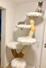 Laden Sie das Bild in den Galerie-Viewer, Naturkratzbaum Sky & Snow
