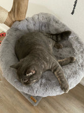 Laden Sie das Bild in den Galerie-Viewer, Naturkratzbaum Lilly