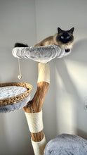 Laden Sie das Bild in den Galerie-Viewer, Naturkratzbaum Mia, Coopi, Yola, Lilly & Yoshi