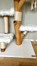 Laden Sie das Bild in den Galerie-Viewer, Naturkratzbaum Amy & Cody