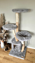 Laden Sie das Bild in den Galerie-Viewer, Naturkratzbaum Liah, Minos & Lady