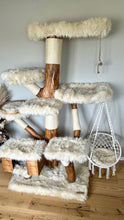 Laden Sie das Bild in den Galerie-Viewer, Naturkratzbaum Oskar, Monti, Caspar und Mino