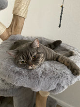 Laden Sie das Bild in den Galerie-Viewer, Naturkratzbaum Lilly