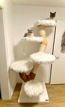 Laden Sie das Bild in den Galerie-Viewer, Naturkratzbaum Sky & Snow