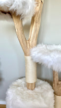 Laden Sie das Bild in den Galerie-Viewer, Naturkratzbaum Carlo, Snowball & Mylo