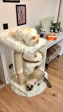 Laden Sie das Bild in den Galerie-Viewer, Naturkratzbaum Nala, Simba & Bailey