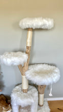 Laden Sie das Bild in den Galerie-Viewer, Naturkratzbaum Carlo, Snowball & Mylo