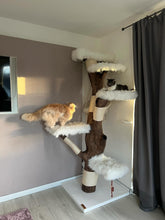 Laden Sie das Bild in den Galerie-Viewer, Naturkratzbaum Oskar, Fibi, Findus & Enzo