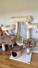 Laden Sie das Bild in den Galerie-Viewer, Naturkratzbaum Leo & Sarabi