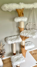 Laden Sie das Bild in den Galerie-Viewer, Naturkratzbaum Amy & Cody