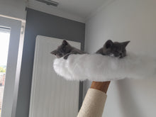 Laden Sie das Bild in den Galerie-Viewer, Naturkratzbaum Rajah und Baghira