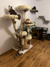 Laden Sie das Bild in den Galerie-Viewer, Naturkratzbaum Katzen vom Wästertal