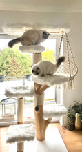 Laden Sie das Bild in den Galerie-Viewer, Naturkratzbaum Amy & Cody