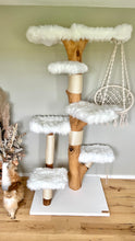 Laden Sie das Bild in den Galerie-Viewer, Naturkratzbaum Amy & Cody
