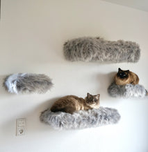 Laden Sie das Bild in den Galerie-Viewer, 4 Komponenten Set Coopi, Yola, Mia, Lilly & Yoshi