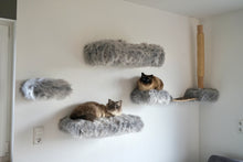 Laden Sie das Bild in den Galerie-Viewer, Komplett Set Coopi, Yola, Mia, Lilly & Yoshi