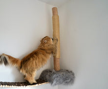 Laden Sie das Bild in den Galerie-Viewer, 3 Komponenten Set Coopi, Yola, Mia, Lilly & Yoshi