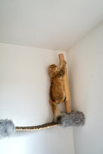 Laden Sie das Bild in den Galerie-Viewer, Einzelkauf Naturkratzsäule