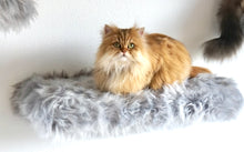 Laden Sie das Bild in den Galerie-Viewer, 3 Komponenten Set Coopi, Yola, Mia, Lilly & Yoshi