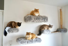 Laden Sie das Bild in den Galerie-Viewer, Komplett Set Coopi, Yola, Mia, Lilly & Yoshi