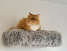 Laden Sie das Bild in den Galerie-Viewer, 3 Komponenten Set Coopi, Yola, Mia, Lilly & Yoshi