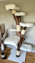 Laden Sie das Bild in den Galerie-Viewer, Naturkratzbaum Oskar, Fibi, Findus & Enzo