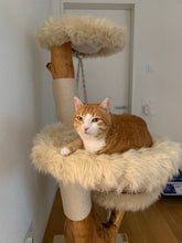 Laden Sie das Bild in den Galerie-Viewer, Naturkratzbaum Lolita und Bonita