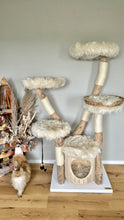 Laden Sie das Bild in den Galerie-Viewer, Naturkratzbaum Katzen vom Wästertal