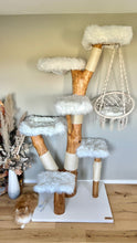 Laden Sie das Bild in den Galerie-Viewer, Naturkratzbaum Balou, Saphira & Shiro