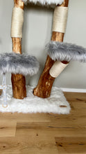 Laden Sie das Bild in den Galerie-Viewer, Naturkratzbaum Willi, Alischa, Ayla & Aslan