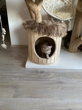 Laden Sie das Bild in den Galerie-Viewer, Naturkratzbaum Leo & Sarabi