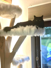 Laden Sie das Bild in den Galerie-Viewer, Naturkratzbaum Elli & Ella