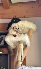 Laden Sie das Bild in den Galerie-Viewer, Naturkratzbaum Elli & Ella