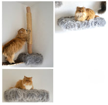 Laden Sie das Bild in den Galerie-Viewer, 3 Komponenten Set Coopi, Yola, Mia, Lilly & Yoshi