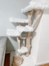 Laden Sie das Bild in den Galerie-Viewer, Naturkratzbaum Coopi, Yola, Mia, Lilly & Yoshi