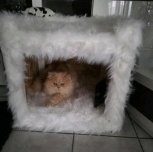 Laden Sie das Bild in den Galerie-Viewer, Katzenhöhle Coopi, Yola, Mia, Lilly & Yoshi